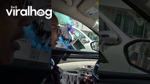 Piles Of Garbage Obstruct Car's View || ViralHog