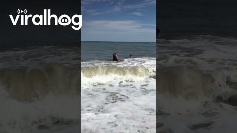 Man Unexpectedly Get Crushed by Wave || ViralHog