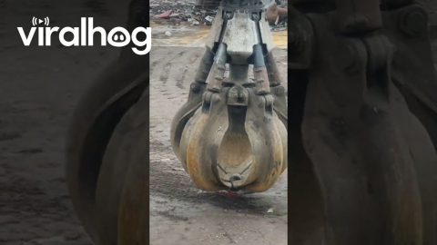 Recycling Crane Makes Parkour Snail Zoom || ViralHog