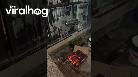 Drone Pilot Grills Satay || ViralHog