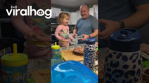 Cake Decorating Lessons || ViralHog