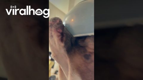 Duncan Drops Some Subtle Hints || ViralHog