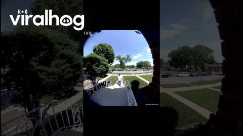 Dead Tree Limb Falls On Parked Car As Owner Walks Up || ViralHog