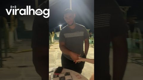 Stray Dog Gets a Goodnight Handshake || ViralHog