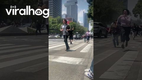 Godzilla vs. Kong Filming in Mexico City || ViralHog