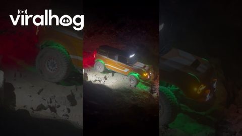 Bronco Slides Down Steep Rocks || ViralHog
