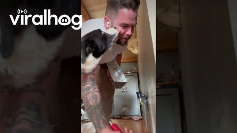 Drywall Repairman Receives Motivational Support || ViralHog