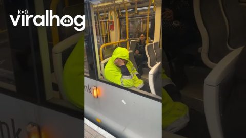 Leaving Boss Asleep on the Tram || ViralHog