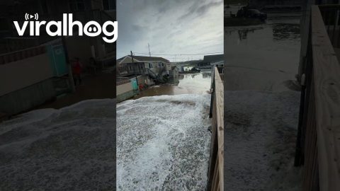 Man Knocked Over During Hurricane Erin’s Storm Surge || ViralHog