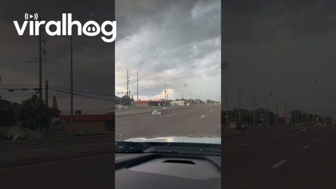 Gustnado over Largo, Florida || ViralHog