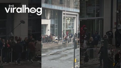 Spidey Saves Young Scooterist || ViralHog