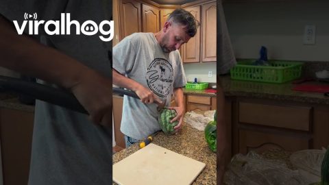 Pumpkin With a Gorilla Face Mold || ViralHog