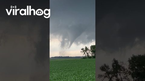 Large Wedge Tornado in Clear Lake South Dakota || ViralHog