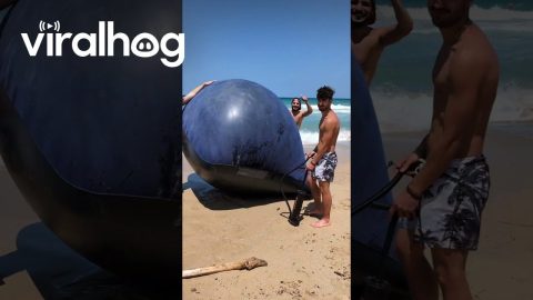 Inflated a Mattress to the Max || ViralHog