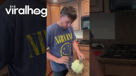 Shaping Pumpkins Into Witch Heads || ViralHog