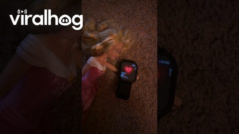 Doll Seems to Have a Pulse || ViralHog