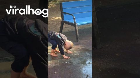 Sandy Puddle Hair Treatment || ViralHog