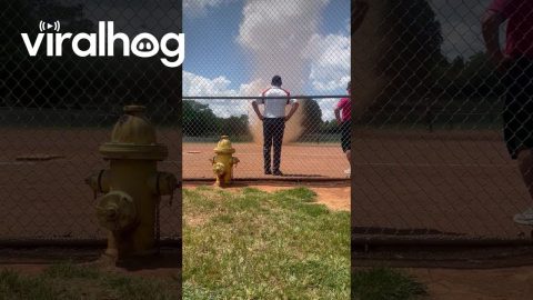 Dust Devil Interrupts Tennessee All-State Softball Game || ViralHog