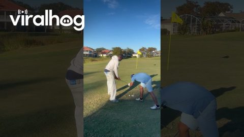 Friend Doubts Five Iron on Green || ViralHog