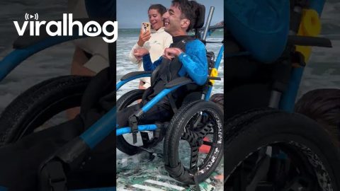 Accessible Surfing on Stand Up Paddle Board || ViralHog