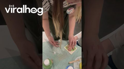 Flawless Painted Handprint Technique || ViralHog