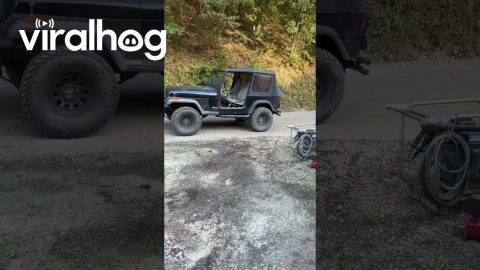 Jeep Came Crawling Up the Holler Unattended || ViralHog