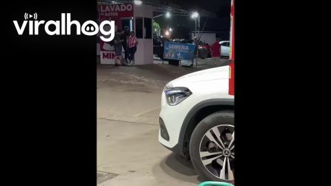 Diva Car Sports Luscious Lashes || ViralHog