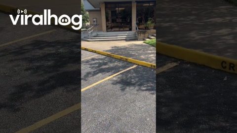 Credit Onion in Austin Texas || ViralHog