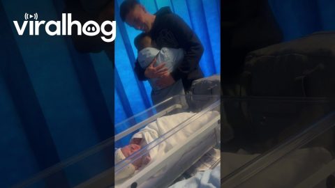 Finding Out He Got a Baby Brother || ViralHog