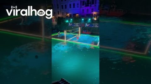 Playing Water Volleyball on Ljubljanica River || ViralHog