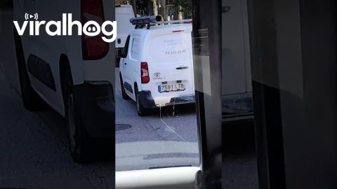 Paint Leaks from Moving Van || ViralHog
