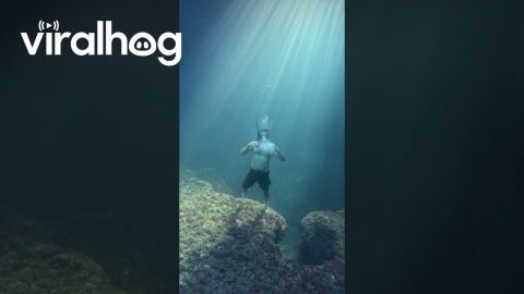 Freediver Blows Bubble Ring From Sea Bottom || ViralHog