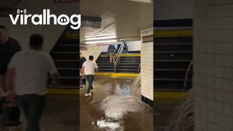 NYC 7th Ave Subway Station Flooding During Summer Storm || ViralHog