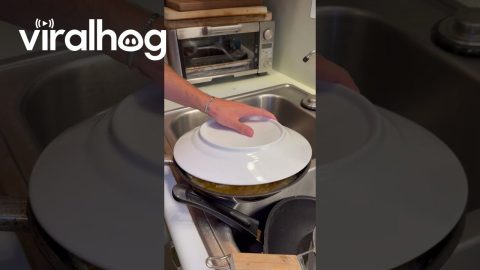 Spanish Omelette Flip Fumbled || ViralHog