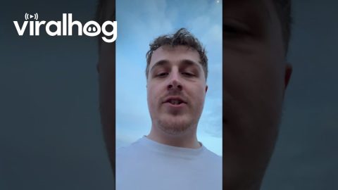 Sheep Won’t Leave Man Alone After Rescue || ViralHog