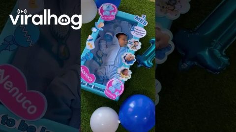 One-Month-Old Baby Sleeps in Baby Doll Box || ViralHog