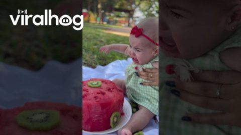 Daughter Desperate For More Watermelon Cake || ViralHog