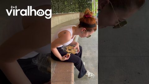 Bird Goes for French Fry in Girls Mouth || ViralHog