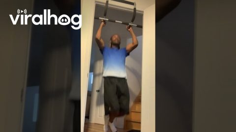 Pull-up or Pull down || ViralHog