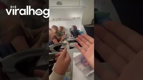 Flying a Paper Airplane on an Airplane || ViralHog