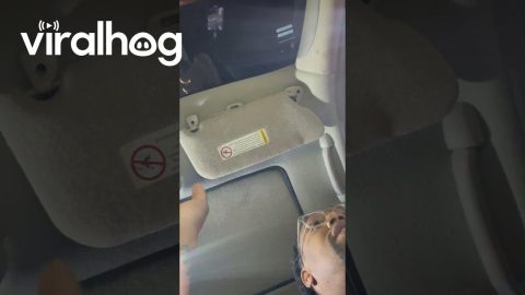 Man Is Pulled Over for Pulling Over || ViralHog