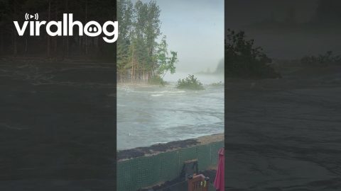 Point of Trees Taken Down From GLOF Event in Juneau || ViralHog