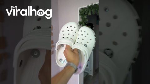 DIY Crocs Roller Skates || ViralHog