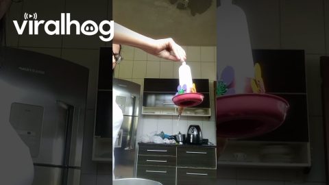 Woman Prepares Nectar for Her Hummingbird Friend || ViralHog