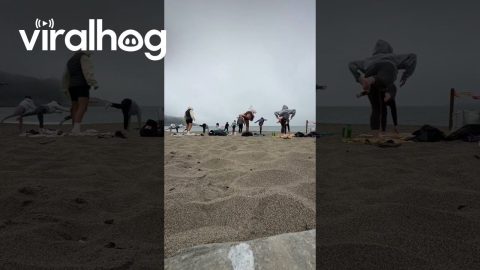 Man Takes a Nap During Sunday Morning Beach Yoga || ViralHog