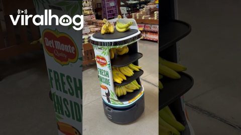 Robot Named Pineapple Selling Bananas || ViralHog
