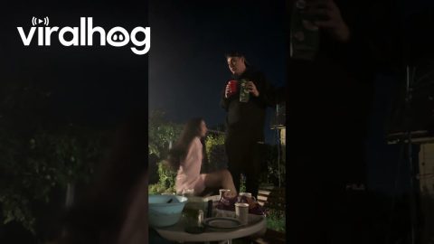 Dramatic Fall at Birthday Bash || ViralHog