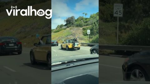 Man Blows Bubbles Out Car Window || ViralHog