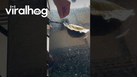 Cooking With Technology || ViralHog
