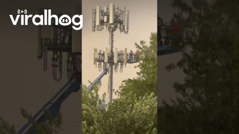Cell Tower Workers Stuck In Swaying Crane During Dust Storm || ViralHog